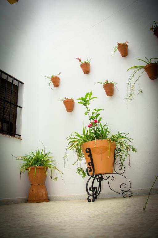 Hostal Malia Conil De La Frontera Εξωτερικό φωτογραφία